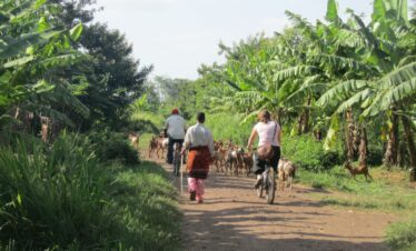 Day Trip-Cultural Experiences