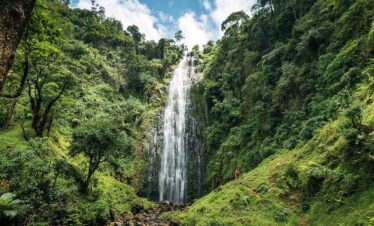 Day Trip-Waterfalls and Coffee Tours